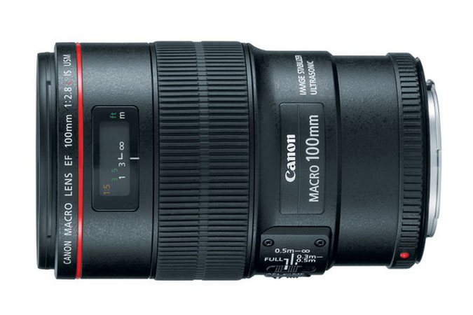Canon EF 100mm macro lens